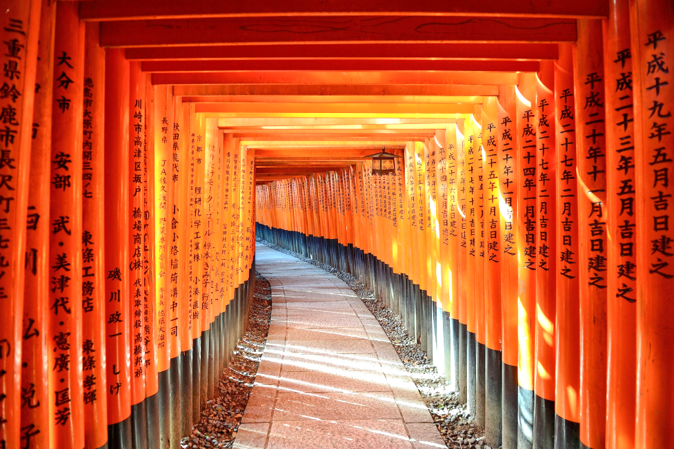 A pathway winding through the vivid orange torii gates of Fushimi Inari in Kyoto